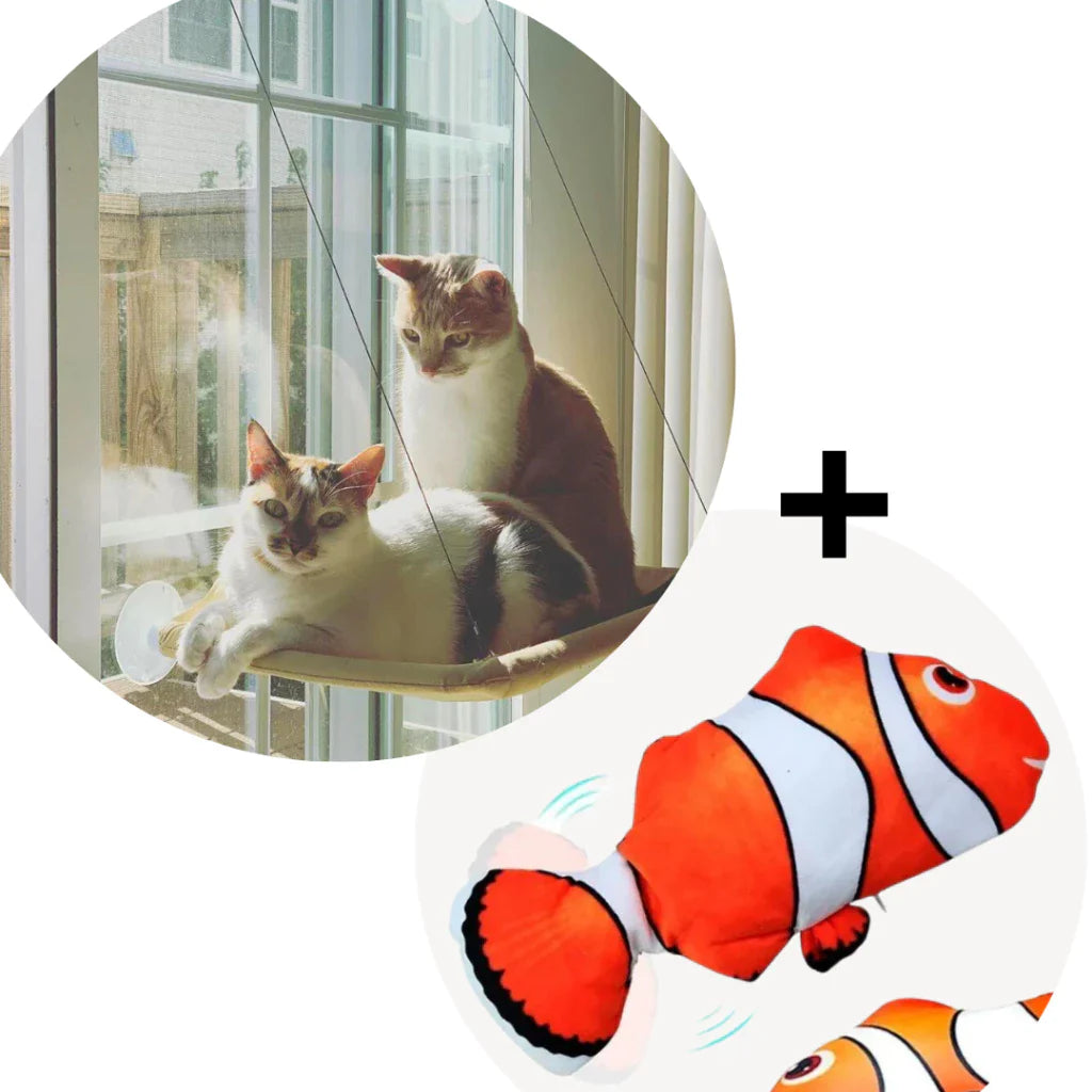 Suporte para Gato de Janela com Ventosas - Vista e Conforto para o Seu Gato! - Pet