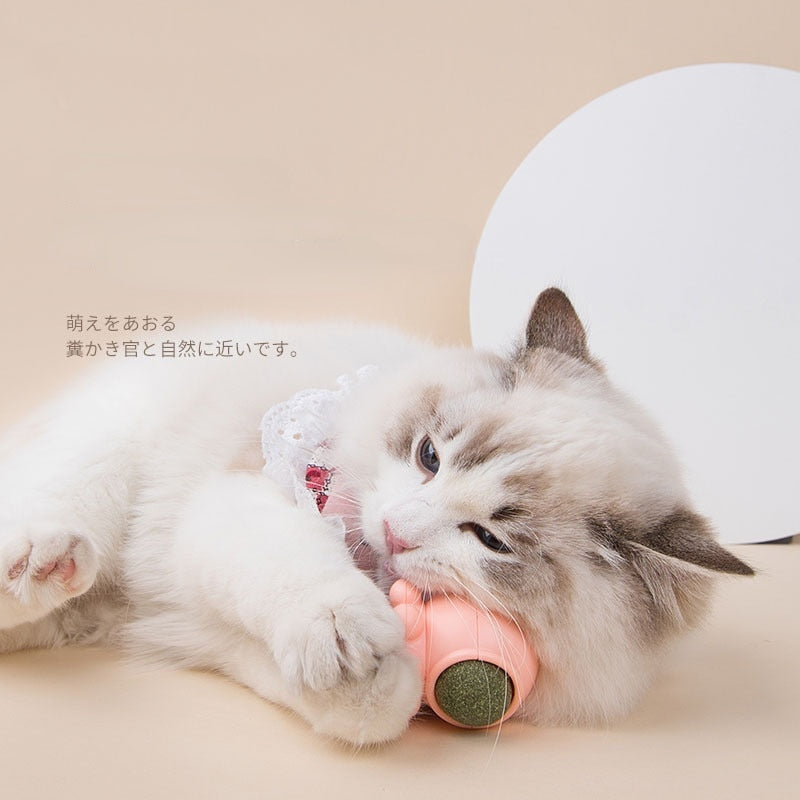 Brinquedo rotacional 360° Erva Catnip - Pet