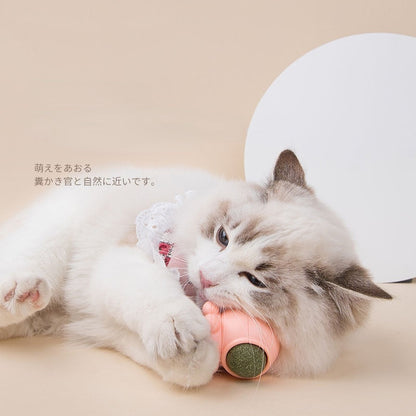 Brinquedo rotacional 360° Erva Catnip - Pet