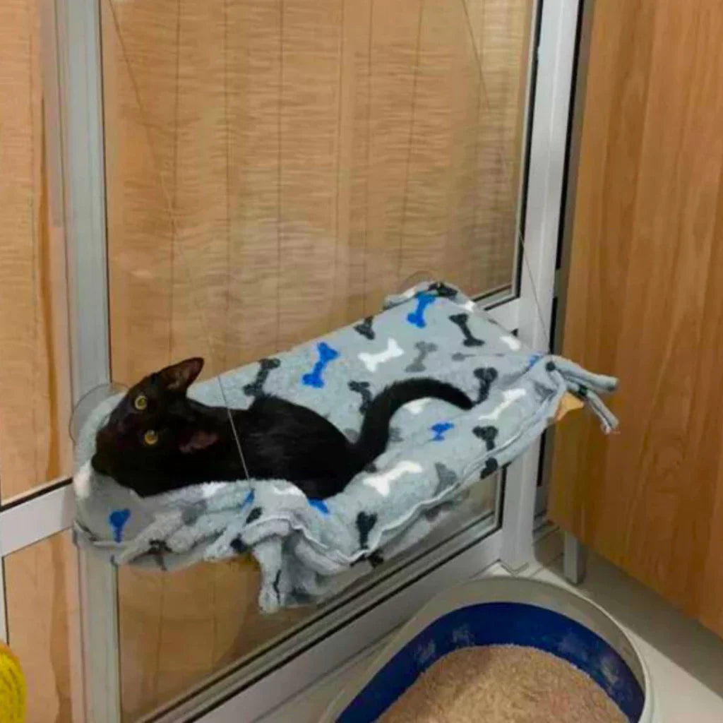 Suporte para Gato de Janela com Ventosas - Vista e Conforto para o Seu Gato! - Pet